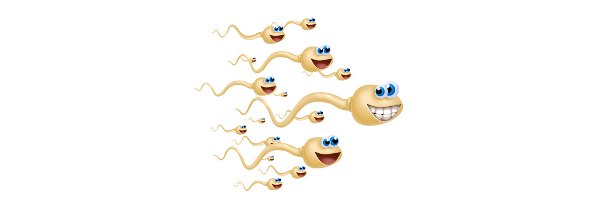Sperm