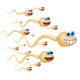 Sperm
