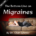 Bottom Line on Migraines