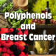 Polyphenols and Breast Cancer