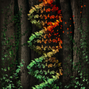 PlantDNA