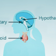 ThyroidSystem