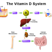 VitaminDSystem