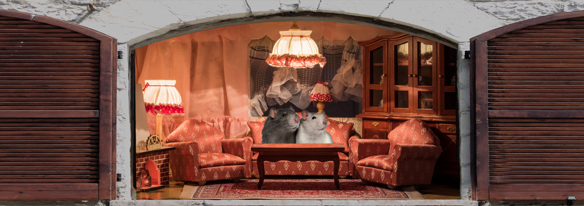 RatsAtHome