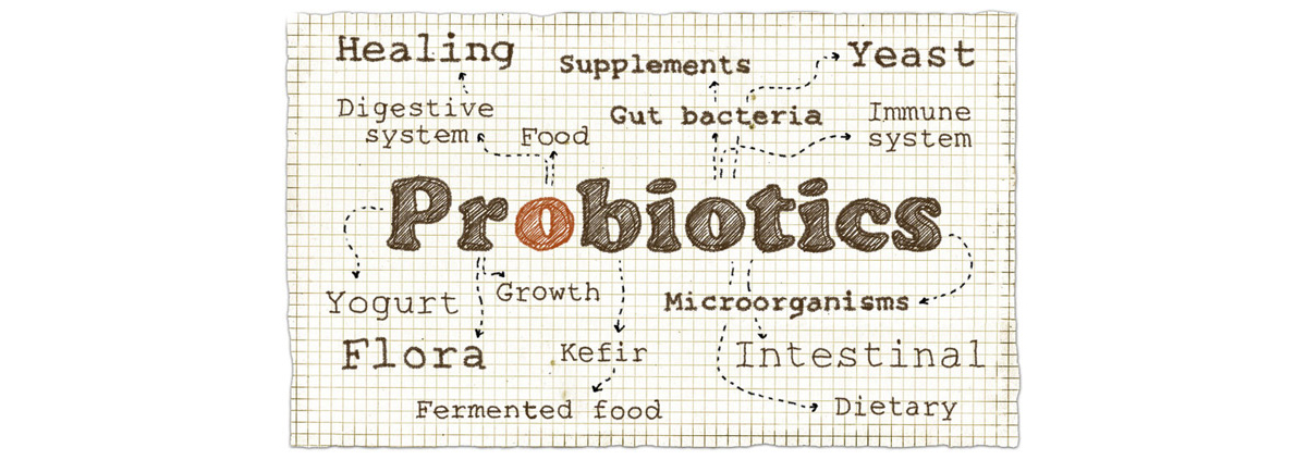 ProbioticsChart