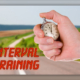IntervalTraining