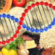 DietAndDNA