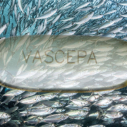 VascepaAndFish