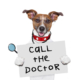 DoctorDog