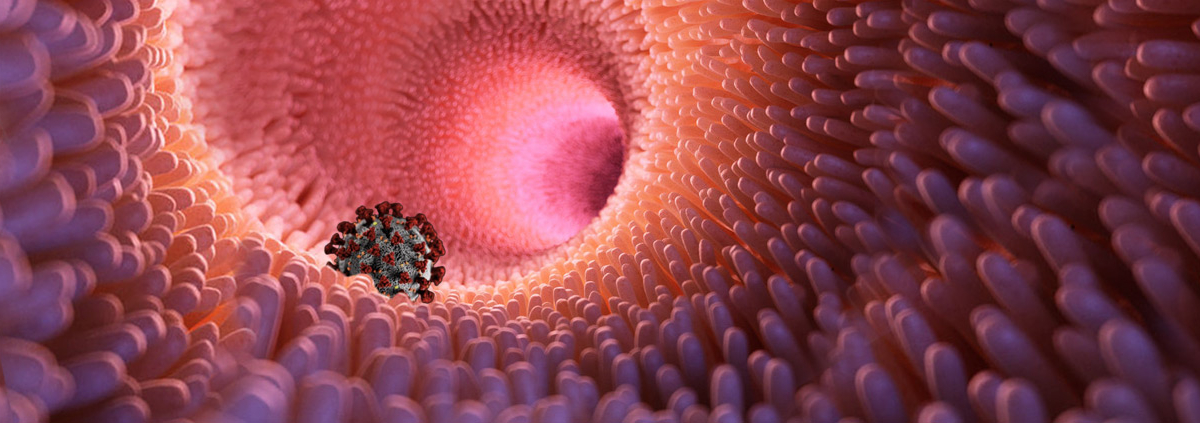 IntestineAndCOVID-19