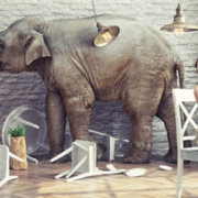 ElephantCafe