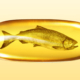 FishOilSalmon