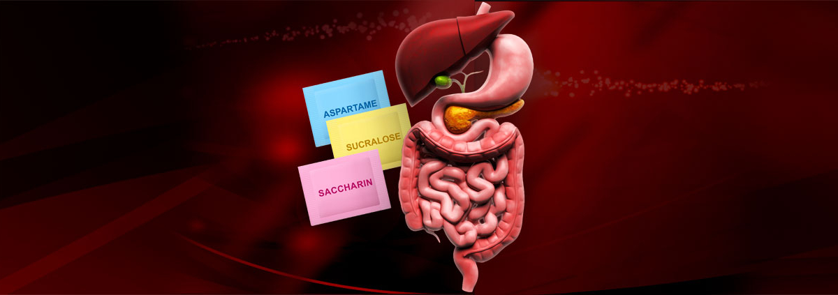 ArtificialSweeteners-DigestiveSystem