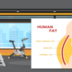 AbdominalFat