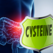 CysteineAndGut