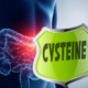 CysteineAndGut
