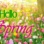 Hello-Spring