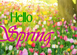 Hello-Spring