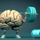 CreatineBrainMuscle