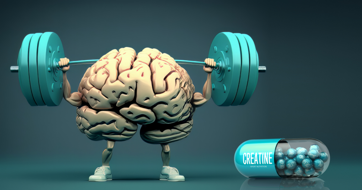 CreatineBrainMuscle