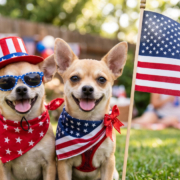 IndependenceDayDogs