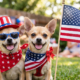 IndependenceDayDogs