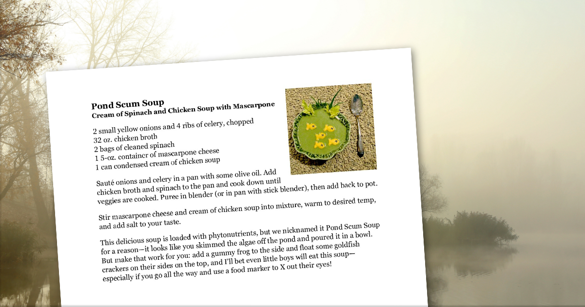 Pond-Scum-Soup