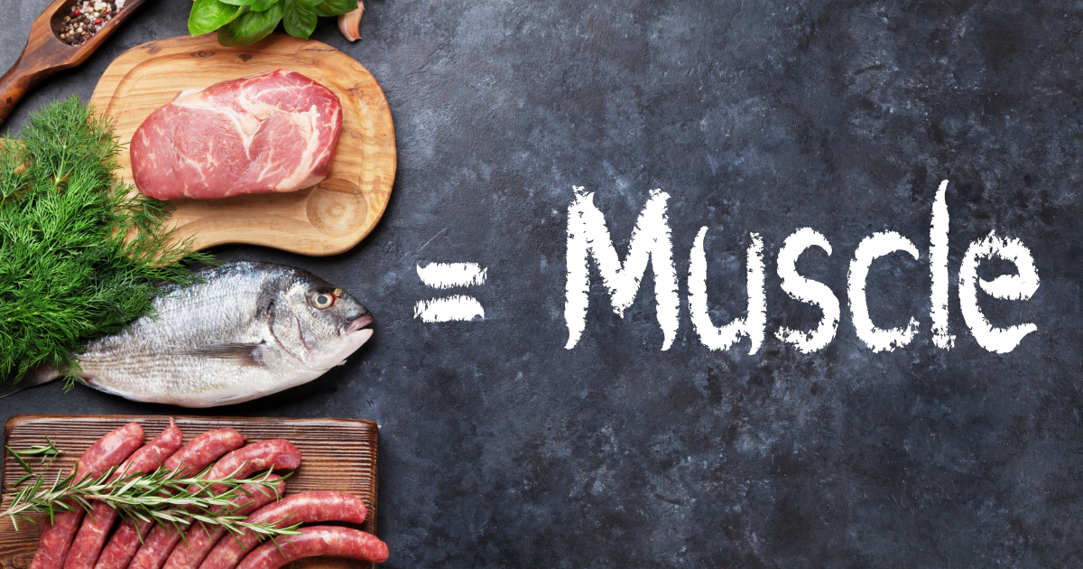 ProteinAndMuscle