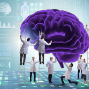 Brain-Maintenance