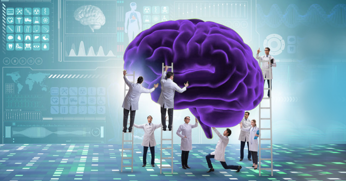 Brain-Maintenance