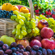 Fruitbasket Fruitbasket
