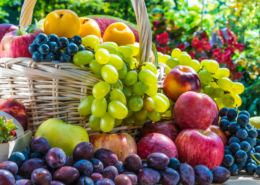 Fruitbasket