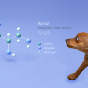 Xylitol-Dog