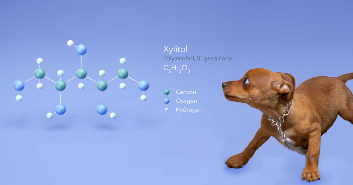 Xylitol-Dog